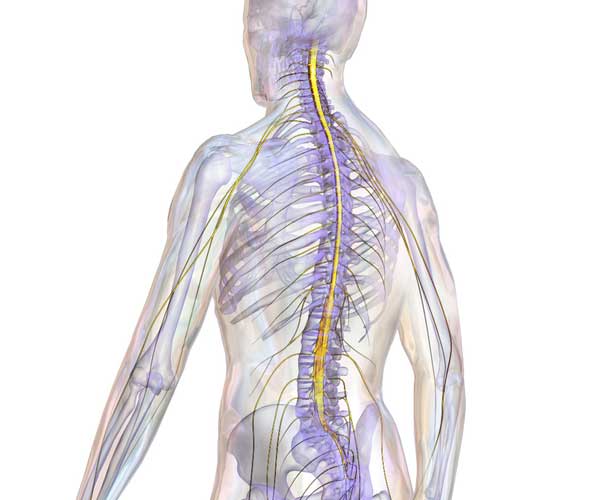 Spinal Cord Injury Overview - Medical Malpractice Lawyers